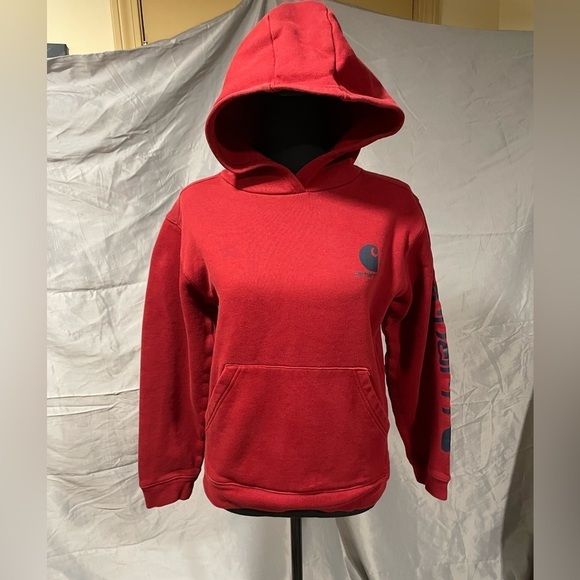 Carhartt Other - NWOT Carhartt Hoodie